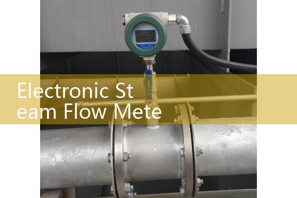 Electronic steam flowmeter